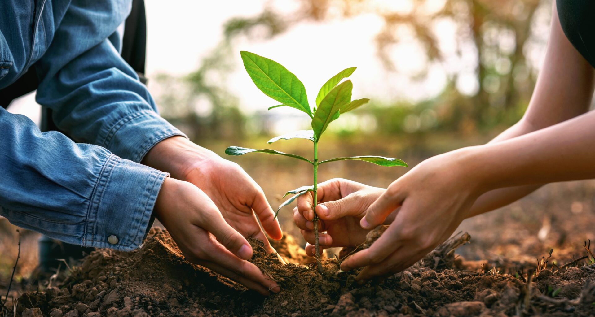 Cal State Fullerton’s Arboretum Receives $2.35M Gift