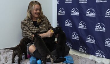 Alicia Silverstone visits dog and puppies she rescued at Helen Woodward Animal Center – NBC 7 San Diego