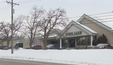 Children were left without adult supervision when one drowned, Oakland County sheriff says