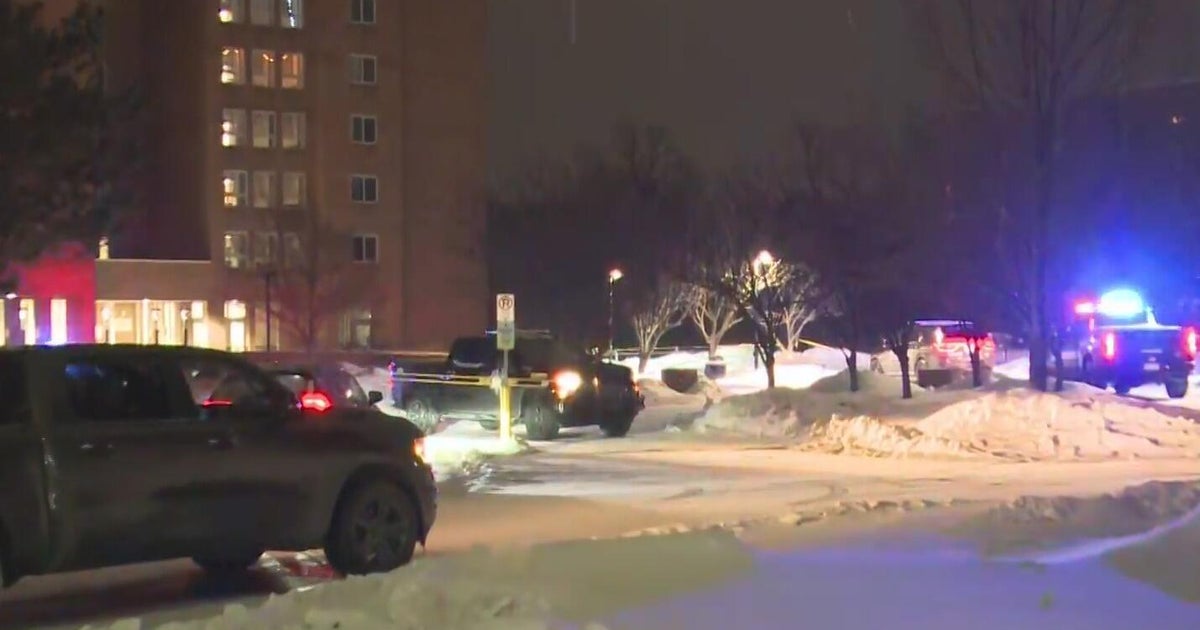 Teen charged in Oakland University stabbing given $1 million bond