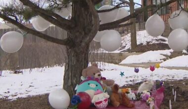 Vigil grows for 8-year-old boy found dead in Round Lake Beach home; mother, boyfriend charged