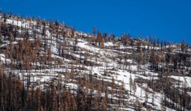 Body of San Jose State Student, a 21-year-old Ski Instructor, Found Thursday at Tahoe Resort