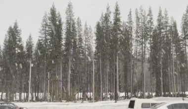 Winter storm brings much needed snow to Sierra