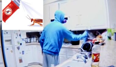 California roommate caught on camera spraying insect repellent on couple's food