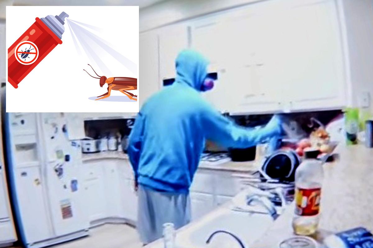 California roommate caught on camera spraying insect repellent on couple's food