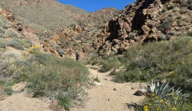 Rainbow Canyon lives up to its name as a colorful destination in Anza-Borrego – San Diego Union-Tribune