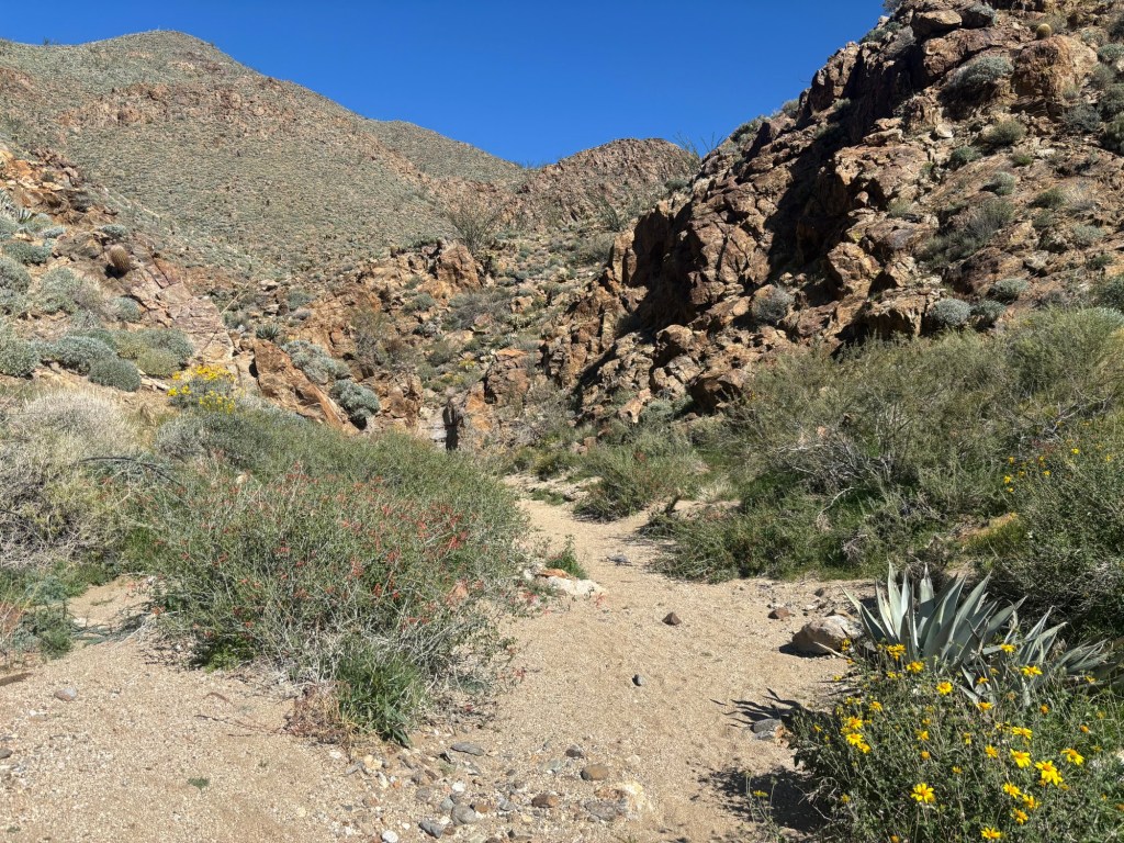 Rainbow Canyon lives up to its name as a colorful destination in Anza-Borrego – San Diego Union-Tribune