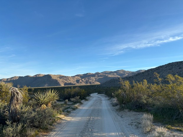The dirt road between Morteros Trailhead and the Pictograph Trailhead in Little Blair Valley. (Maura Fox / The San Diego Union-Tribune)