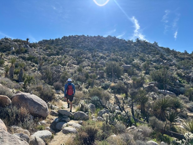 The reporter's hiking companion makes his way south toward Whale Peak, though the peak is not yet visible. (Maura Fox / The San Diego Union-Tribune)