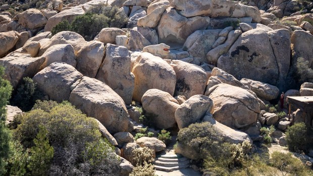 Rock animals are seen in the canyon seen from from inside the Desert View Tower on Sunday, Feb. 8, 2026 in Jacumba Hot Springs, California. (Meg McLaughlin / The San Diego Union-Tribune)