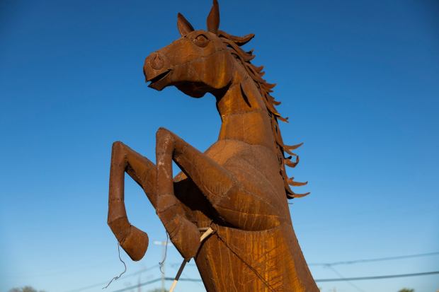 A large horse seen at M&J Artesanias on Monday, Feb. 9, 2026 in Gila Bend, Ariz.. (Meg McLaughlin / The San Diego Union-Tribune)