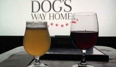 More SF Movie Theaters Can Sell Beer and Wine After Supervisors Relax the Rules