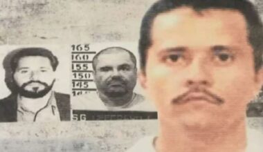 Mexican cartels’ connections to Southern California explained – NBC Los Angeles