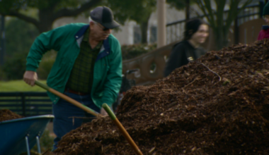 Natomas community plants 41 trees as living memorial for loved ones lost to violence