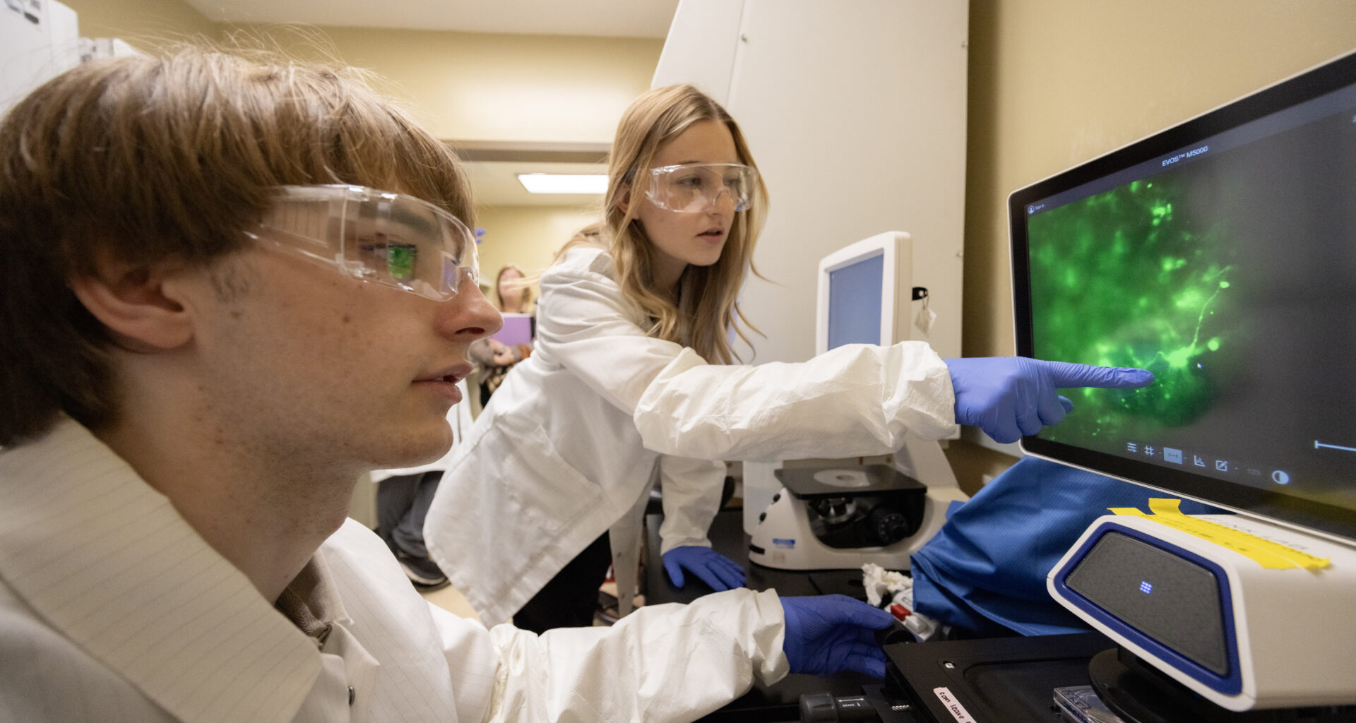 Undergraduate student Iliya Voytsyshyn, left, has developed an app to help quantify the growth patterns of neuronal cells in brain organoid models.