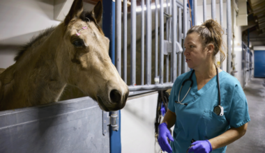 While Sacramento Sleeps, These Night Workers Keep the City Moving