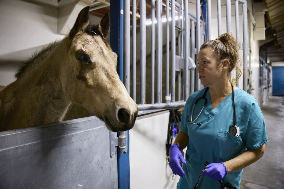 While Sacramento Sleeps, These Night Workers Keep the City Moving