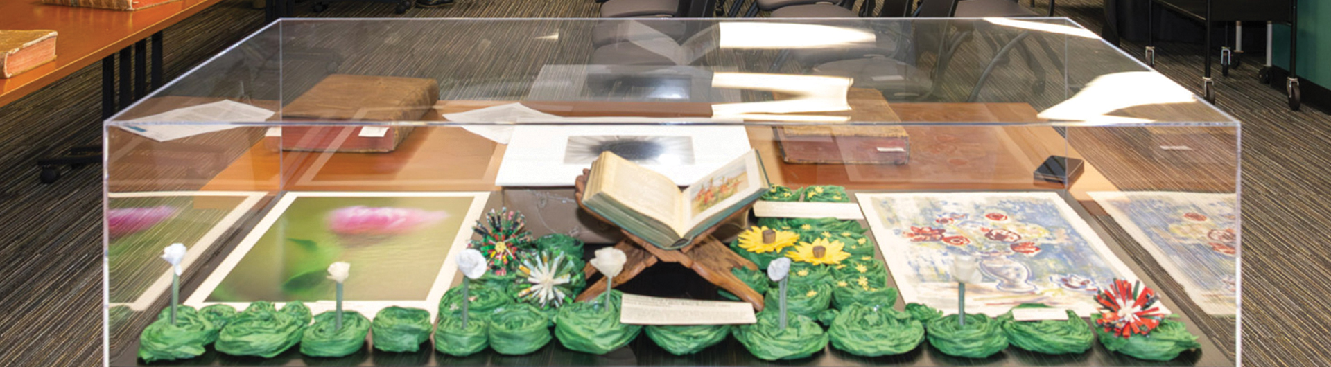 New funding propels CSULB's storied archives toward wider access