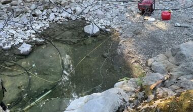 CDFW Cannabis Program Safeguards California’s Natural Resources