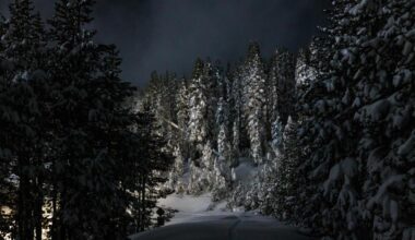 As snowpack rebounds, complaceny is California's biggest water risk — a Press Democrat editorial