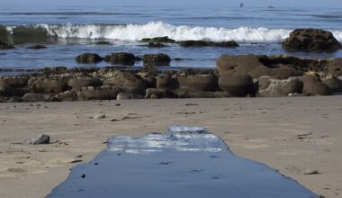 California’s Sable Pipeline Suit Tests ‘Energy Emergency’ Reach