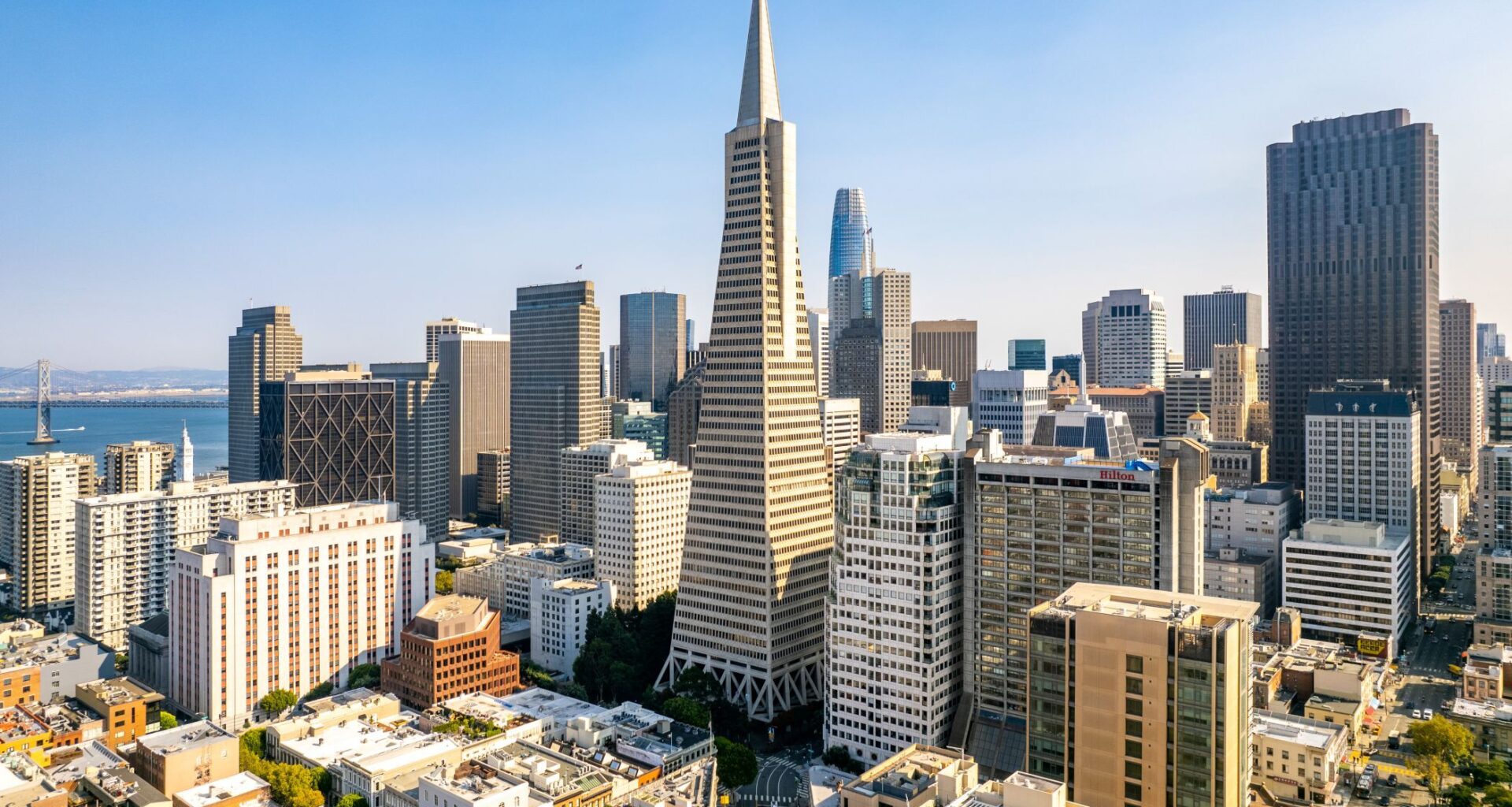 San Francisco's iconic Transamerica Pyramid tower slated for ownership shakeup