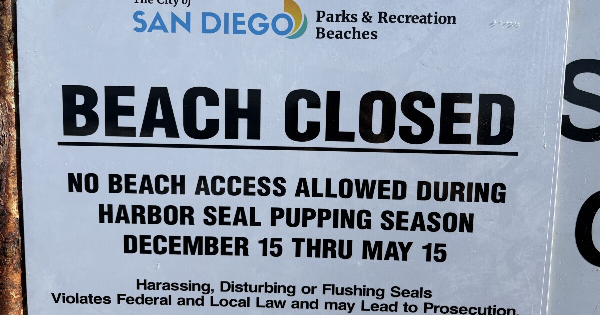 2026's first seal pup born