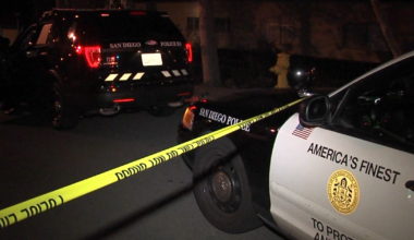 Dog killed, man in ICU after hit and run crash