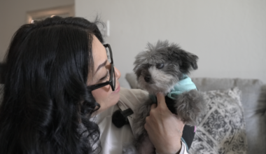 Lost, Mourned, and Found: Why Microchipping Matters