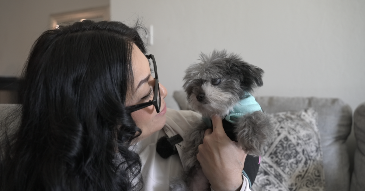 Lost, Mourned, and Found: Why Microchipping Matters