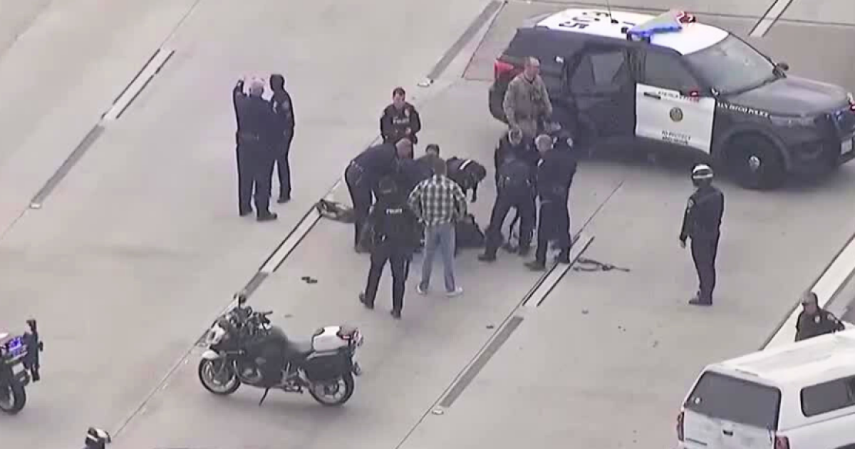 San Diego police identify suspected trailer thief who led wild freeway chase