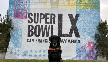 Two Las Vegas K9 teams head to California to help secure Super Bowl