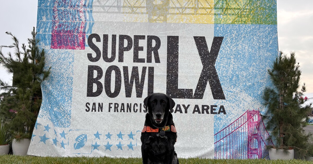 Two Las Vegas K9 teams head to California to help secure Super Bowl
