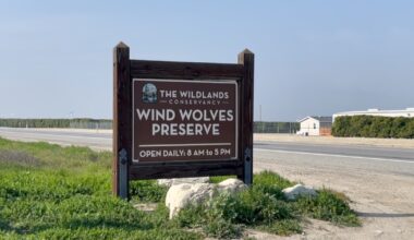 Car break-ins reported at Wind Wolves Preserve hiking area