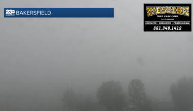 School delays and closures on Thursday, Feb 5