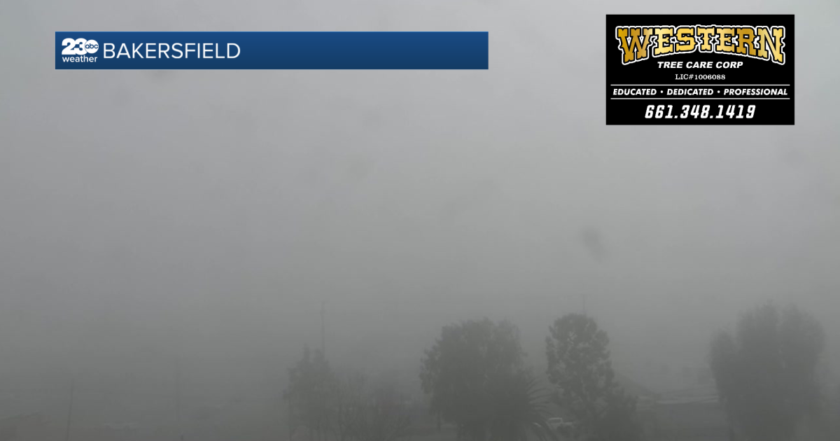 School delays and closures on Thursday, Feb 5