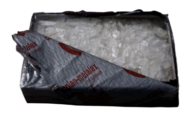 Bakersfield man gets 24-plus years for meth trafficking to Tampa