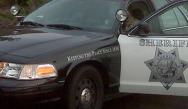 15 arrested in transit safety operation along Sprinter rail line