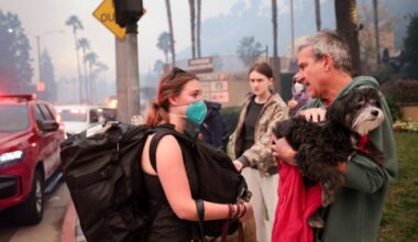 Help pets in disasters