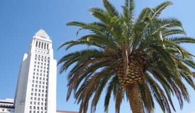 LA mayoral candidates