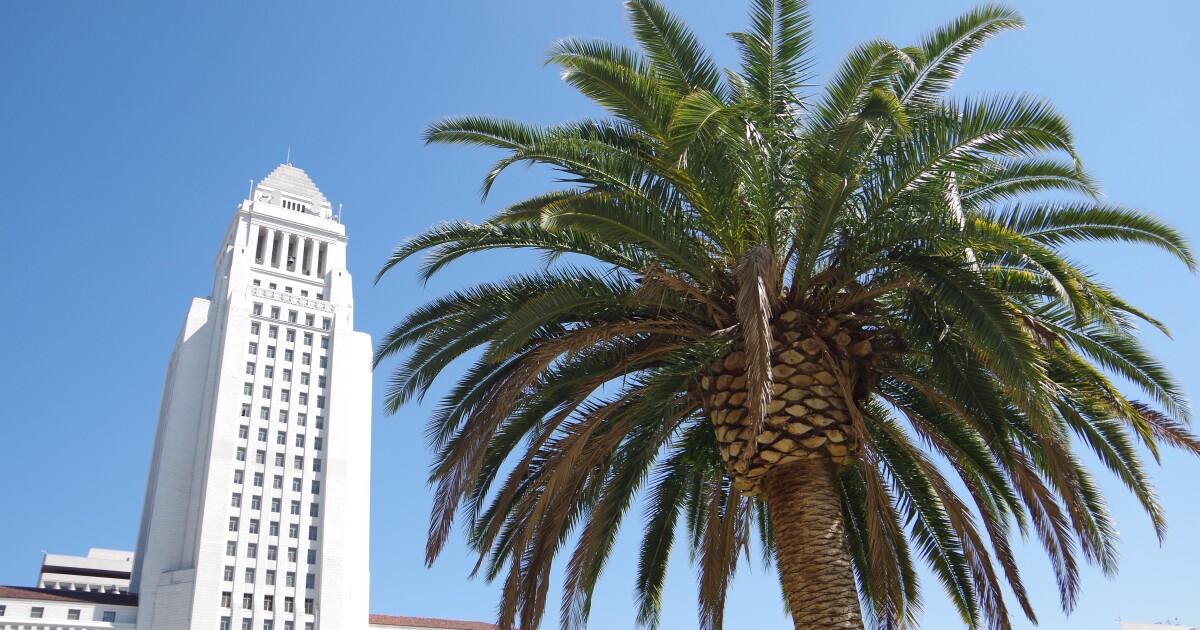 LA mayoral candidates