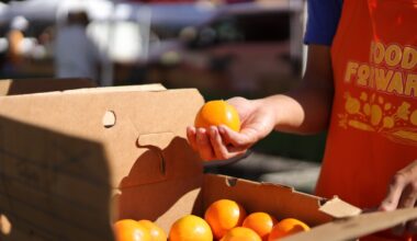How farmers market leftovers turn into free food for Angelenos