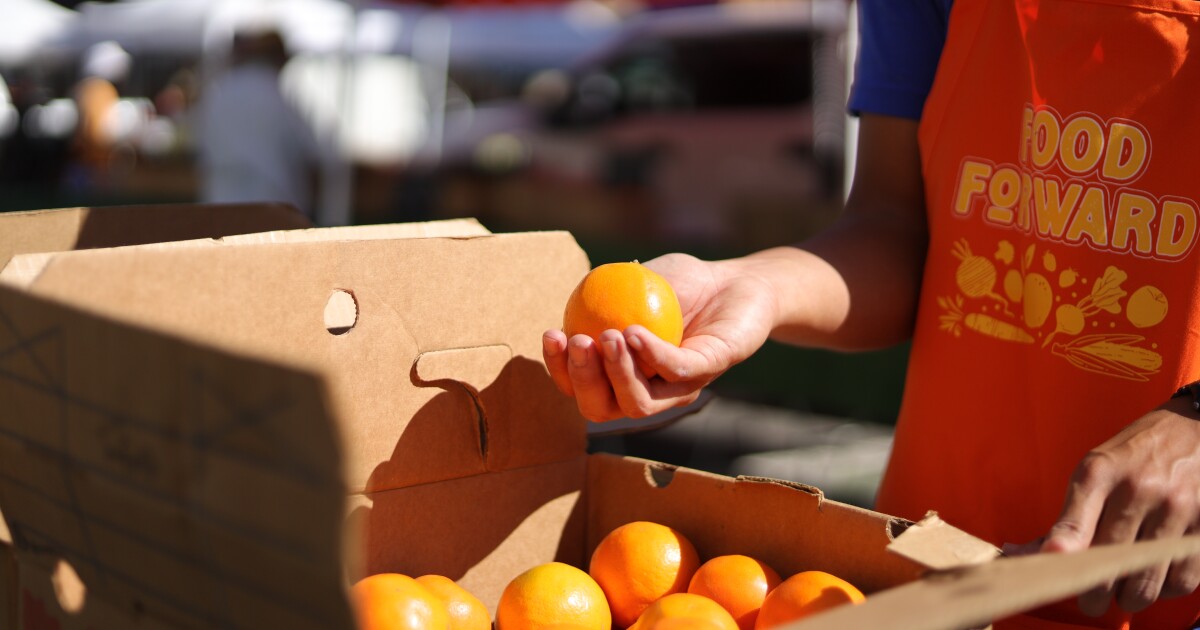 How farmers market leftovers turn into free food for Angelenos