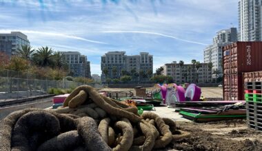 Japanese skateboarding show will take over dirt pit where Long Beach City Hall once stood