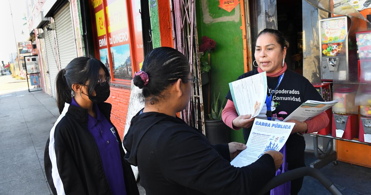 Healthcare experts warn 'people will die' unless state steps up amid federal cuts