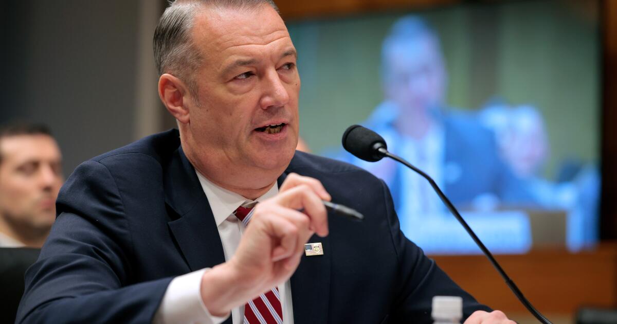 ICE whistleblower documents reveal deep cuts to training program