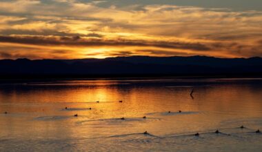 Southern California man charged with murder of missing teen after remains found in Salton Sea area