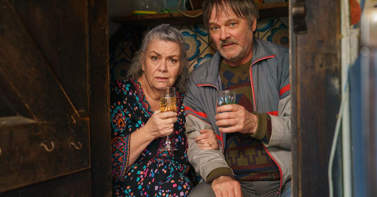 'Can You Keep a Secret?' review: Making light of insurance fraud