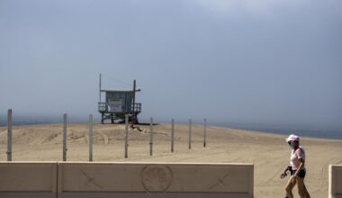 To live long: adapt, give, connect, grow