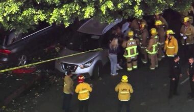 SUV barrels into downtown Los Angeles flower district vendor, injuring 6